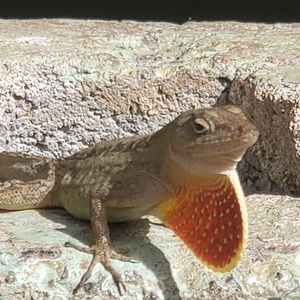 Meet your Posher, Jan